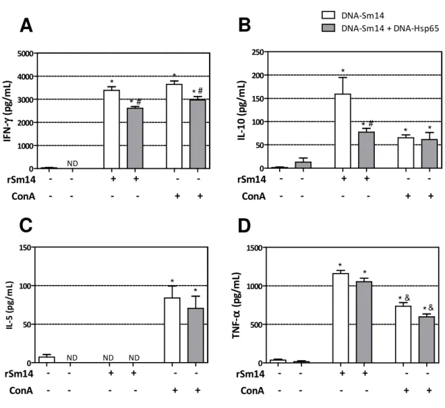Figura 5. Concentração de citocinas em cultura de células de baço de animais imunizados com  DNA-Sm14  ou  DNA-Sm14  +  DNA-Hsp65  utilizando  estratégia  “prime-boost”  heterólogo  após  reestímulo com rSm14