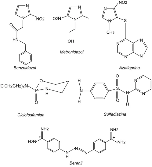 Figura 1.5: Alguns ligantes axiais empregados nos novos adutos com  carboxilatos de ródio(II)