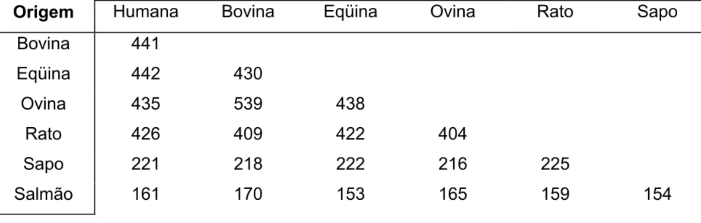 Tabela II.2: Matriz de identidade entre as seqüências de algumas albuminas (os valores  indicam o número de resíduos conservados) (Reproduzido de Carter e Ho, 1994)