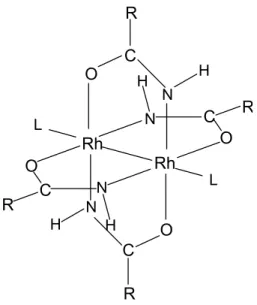 Figura 2.1: Estrutura de um amidato de ródio genérico. Está representado o isômero de  formação preferencial (explicação no texto) 