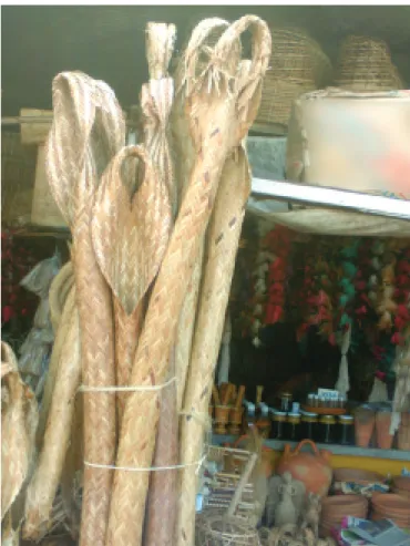 Figura 1 - Tipiti