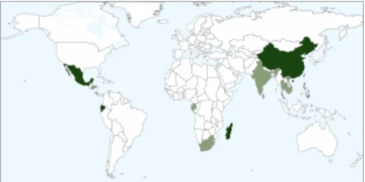 Figura 3 – Distribuição geográfica de A. moluccana nas regiões tropicais e subtropicais representada pela cor  verde.