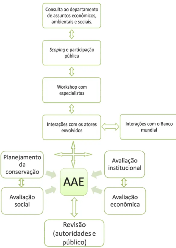 Figura 9. Processo de Elaboração da AAE do projeto de expansão do PNEA  Fonte: CES (2002) 