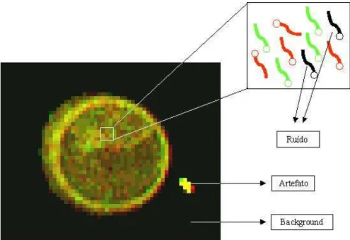 Figura 2.3: Termos utilizados na an´alise de imagens de microarray.
