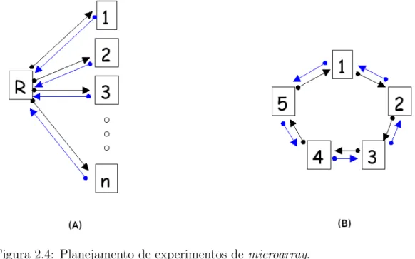 Figura 2.4: Planejamento de experimentos de microarray.