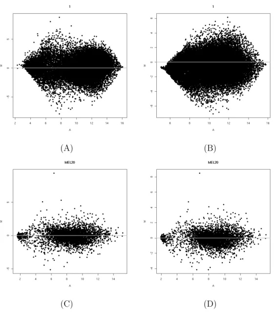 Figura 4.4: A transforma¸c˜ao h.
