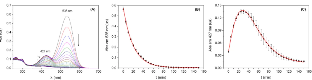 Figura 3. (A) Espectros de absorção de Bn em água ([Bn] = 9 μmol L –1 ), em função do tempo, a 85 °C