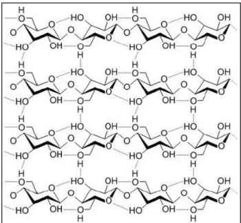 Figura 12 - Esquema das pontes de hidrogénio inter e intramoleculares na celulose (adaptado da  referência [22])