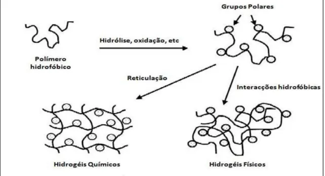 Figura 19 - Métodos de preparação de hidrogéis (adaptado da referência [58]). 