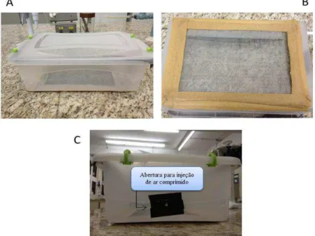 Figura 5 - Visão geral (A), fundo (B) e perfil (C) da caixa utilizada para a remoção de finos  por fluxo de ar