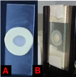 Figura  4.3  -  A:  Corpo-de-prova  confeccionado  a  partir  de  matriz  de  silicone;  B:  Feixe  do  infra- infra-vermelho passando pelo centro do corpo-de-prova 