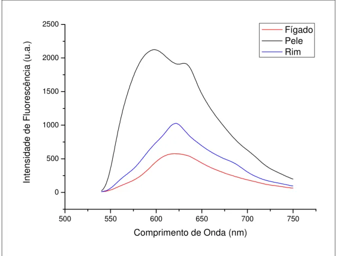 Figura 8: Espectros de fluorescência característicos do fígado, da pele e do rim para um animal com  IPM igual a 0 hora 