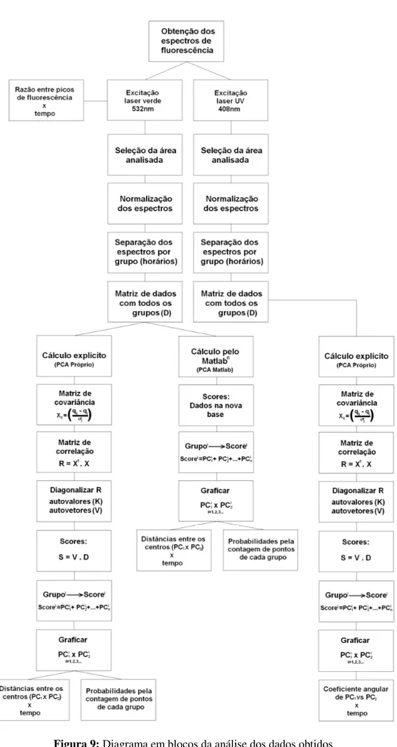 Figura 9: Diagrama em blocos da análise dos dados obtidos 