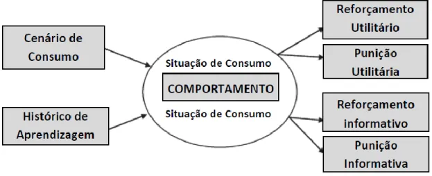 Figura  1.  Esquema  do  Modelo  na  Perspectiva  Comportamental  –  BPM.  Adaptado  de  Foxall,  (2010)
