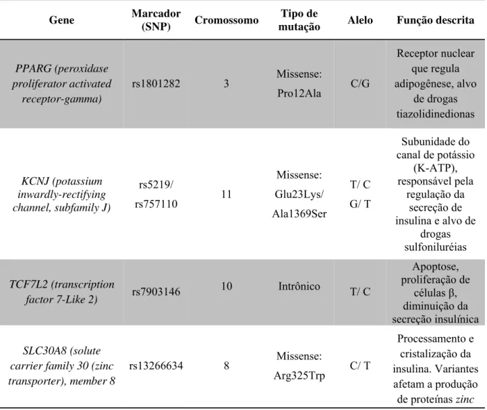 Tabela 1. Principais genes, variações genéticas e função dos genes associados com a susceptibilidade ao DM2
