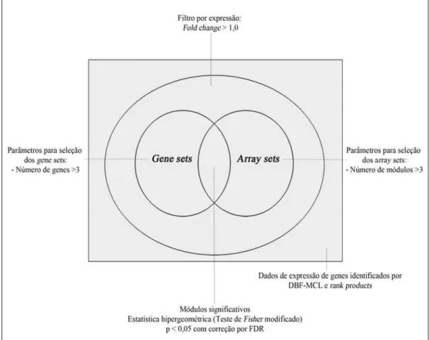 Figura 8. Parâmetros utilizados na análise de module maps.  