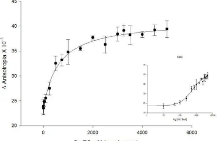 Figura 12 - Curva da anisotropia de fluorescência. Ligação da enzima SerRS e o ligante SelC