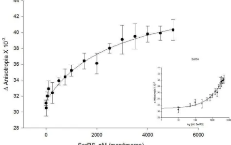 Figura 13 - Curva da anisotropia de fluorescência. Ligação da enzima SerRS e o ligante  tRNA Ser 3A