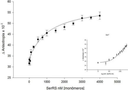 Figura 15 - Curva da anisotropia de fluorescência. Ligação da enzima SerRS e o ligante tRNA Ser 7