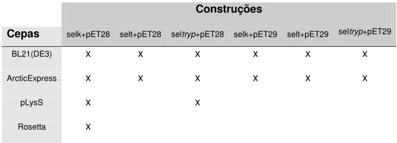 Tabela 4 - Resumo das construções testadas em diferentes cepas de E. coli. 