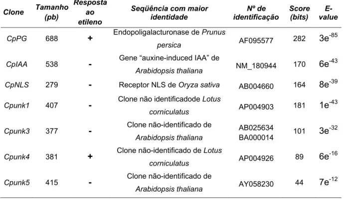 Tabela 2. Clones de fragmentos de cDNA de mamão papaia isolados por “Differential Display-PCR” e  com expressão diferencial confirmada por “Northern Blot Reverso”