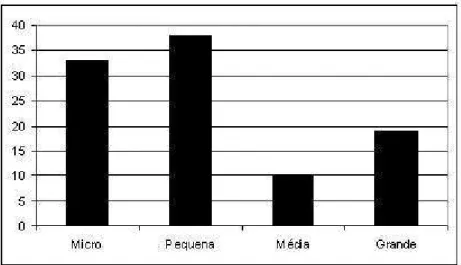 Figura 1.1 – Classificação, em %, das empresas em Micro, Pequena, Média e Grande (gráfico 