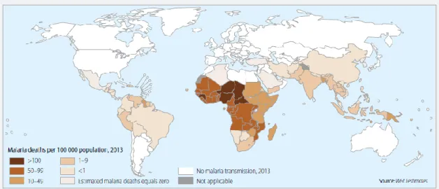 Figure 1.1 – Global status of mortality by malaria per 100 000 population in 2013. 1