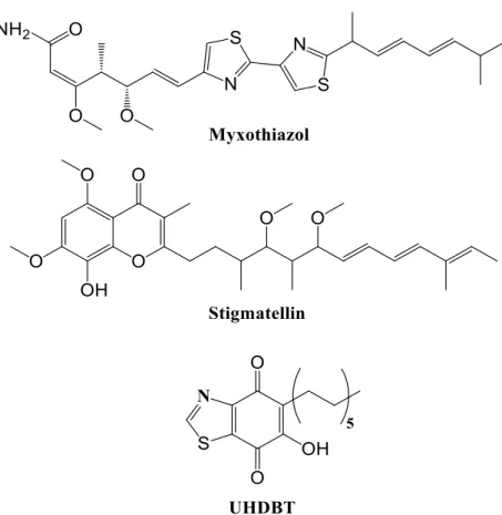 Figure 1.19 – Structural representation of myxothiazol, stigmatellin and UHDBT. 