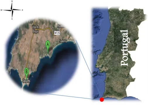 Figure 2.1 Map of Sagres, Portugal: (A) Location of Finisterra longlines system, (B)  Location of Finisterra laboratory