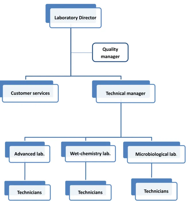Figure 3.1 Organizational chart of Finisterra’s laboratory Laboratory Director 
