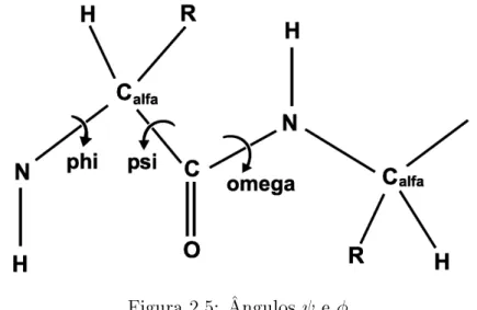Figura 2.5: Ângulos ψ e φ.