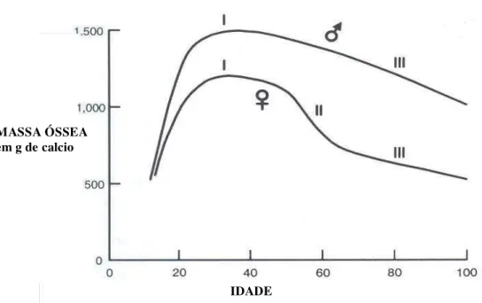 FIGURA 5 – Curva representativa da mudança na massa óssea em relação à idade em homens e  mulheres, mostrando padrões de perda óssea