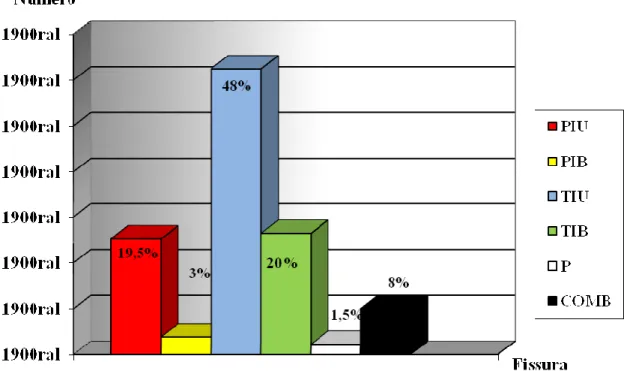 Figura  3.  Gráfico  de  distribuição  numérica  e  percentual  dos  diferentes  tipos  de  fissura  na  amostra total 