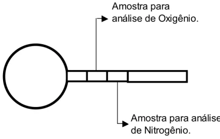 Figura 31: Representação esquemática das posições onde foram retirados as amostras 