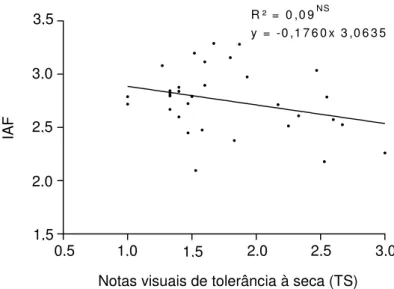 Figura 11  –  Regressão linear, índice de área foliar (IAF) médio de laranja 