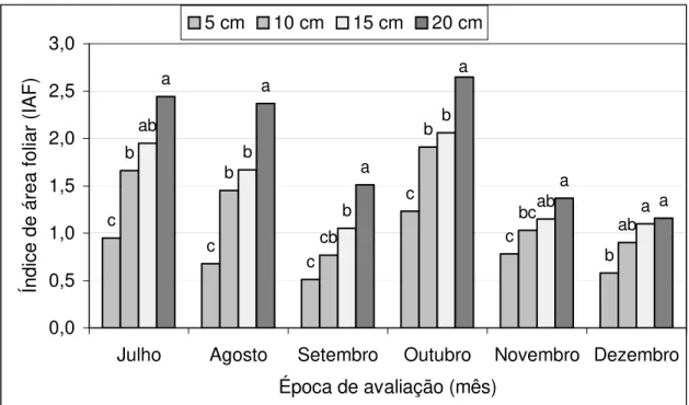 Figura 2 - Índice de área foliar em cultivares de Cynodon spp. sob diferentes  intensidades de pastejo em regime de lotação contínua avaliados em  diferentes épocas do ano