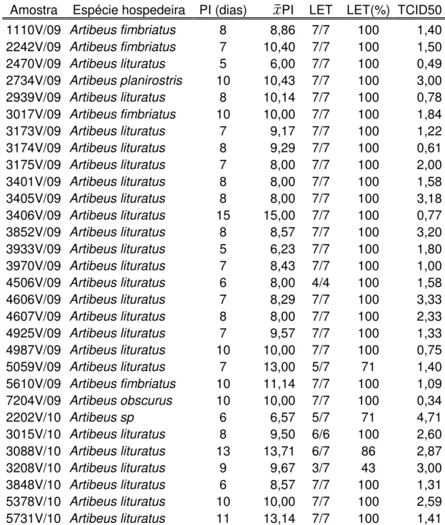 Tabela 1 - Relação dos isolados de vírus da raiva de morcegos frugívoros do  gênero Artibeus para  estudo, identificando o hospedeiro original, período de Incubação (PI), Letalidade (LET) e  resultado da titulação viral em cultivo celular (TCID50) - São Pa