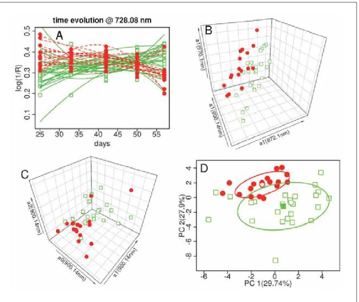 Figure 4.  A) Evolution of leaf absorbance at 728 nm, fitted with a 2 nd  order polynomial