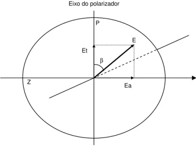 Figura  3.  Efeito  do  polarizador  em  uma  onda  luminosa.  Fonte:  adaptado  de  Ferreira  Junior,  2003