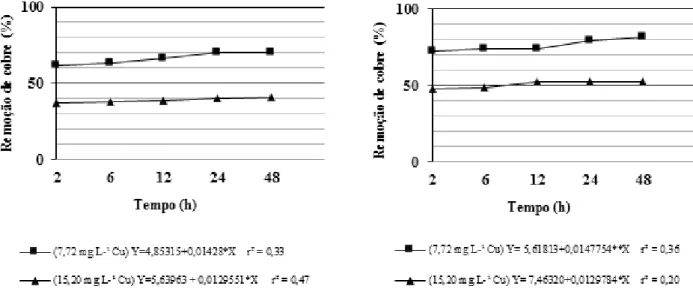 Figura 1 – Percentual de remoção de cobre por Enterococcus faecalis ATCC 51299 e Salmonella enterica sorovar Enteritidis  CCT 4475 em diferentes períodos de cultivo
