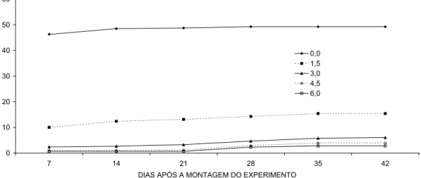 Figura 1 – Emergência de plântulas de Conyza com cobertura de palha de milho durante 42 dias