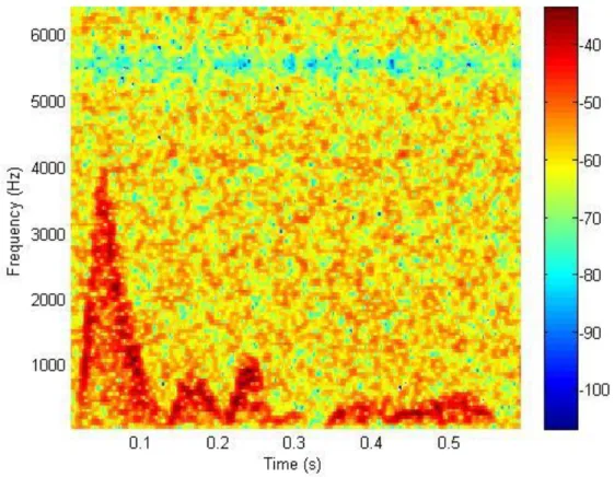 Figura 3.1 – Espectrograma de um dos sinais clínicos, correspondente a aproximadamente 1 ciclo cardíaco 