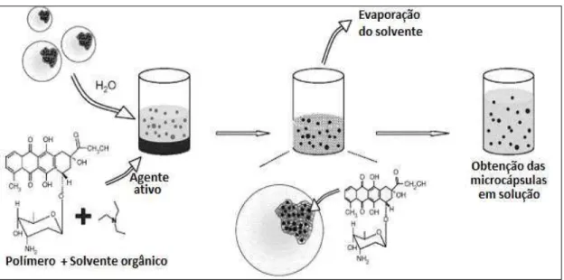 Figura  2.4  -  Etapas  do  processo  de  encapsulação  pela  técnica  de  evaporação  por  solvente  (MISSIRLIS et al., 2006)