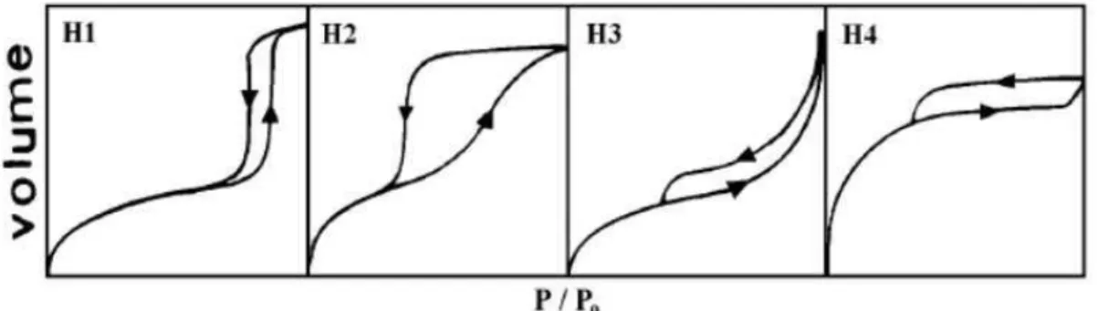 Figura 2.14 - Tipos de histerese (SING et al., 1985). 