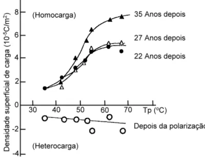 Figura 2.2 Observação das cargas superficiais nos eletretos de cera de carnaúba em 22, 27 e 35 anos após a  polarização