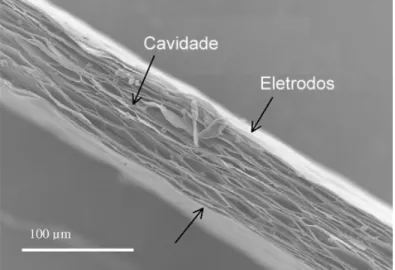 Figura 2.15 Imagem por microscopia eletrônica da seção transversal de um filme de PP celular de 70  m de  espessura (PAAJANEN; VÄLIMÄKI; LEKKALA, 2000)
