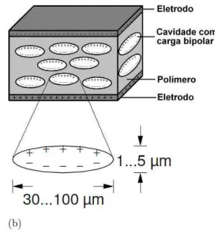 Figura 2.16 (a) Seção transversal de filme polipropileno celular em microscopia eletrônica (PAAJANEN; 