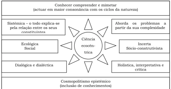 Figura 10 – Síntese das características da ciência ecocêntrica. 