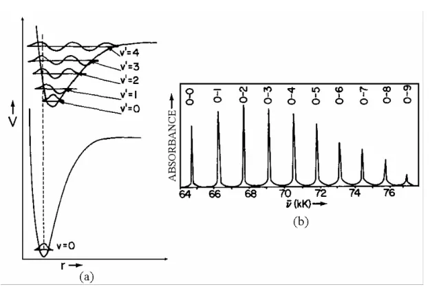 Figura  1.10:  Ilustração  do  princípio  de  Franck-Condon.  (a)  As  curvas  de  potencial  são  desenhadas  de  modo  que  a  máxima  superposição  ocorra  entre  as  funções  de  onda  vibracionais ν = 0 e ν’ = 2