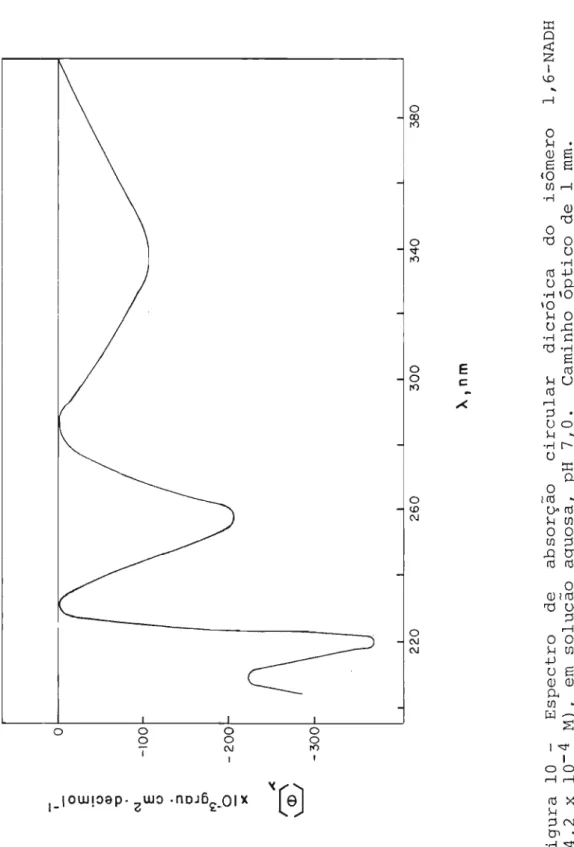 Figura 10 - Espectro de absorção circular dicróica do isômero 1,6-NADH (4,2 x 10- 4 M), em solução aquosa, pH 7,0